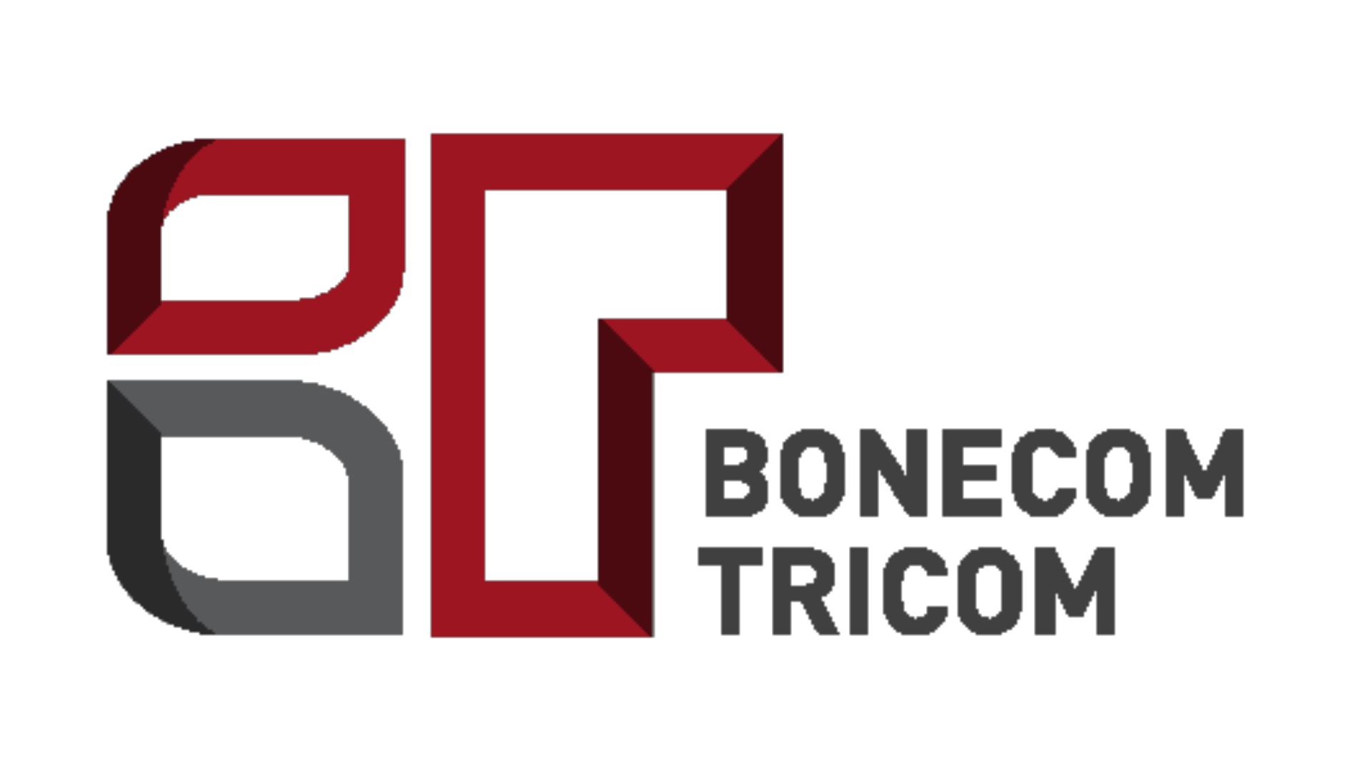 Logo 2